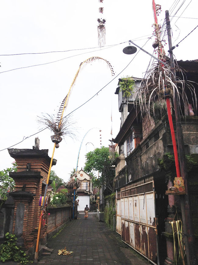 ガルンガンの時に立てたペンジョール。枯れて元気がなくなってしまいました。ご苦労様でした。