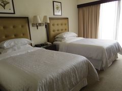 またバスでシェラトン リマ ホテル＆コンベンションセンターへ。
早めにチェックインさせてもらえました。１４時頃です。
目の前の公園はきれいなので写真を撮るために出たいでしょうけれどクリスマス直前で危ないので出ないように、外出は隣のショッピングセンターへ地下から行くだけにしてくださいと添乗員さんに言われました。
夕食は１７：４０ロビーに集合して中華料理を食べに行くそうですが、今食べたばかりで食べたくない。中華料理だし・・

この時、日本時間だと１２月２４日４時
つまり、起きてから４２時間、成田を飛び立ってからでも３４時間ほど経っています。風邪を無理やり治したばかりで、よく頑張った！！　夕食は断ってシャワー浴びて即寝ることにしました。