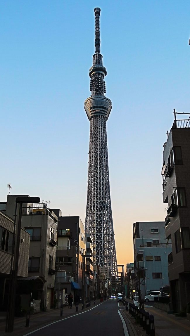 オーダー品　スカイツリー様 東京スカイツリー 視点-2 タワービュー通り・業平小前に距離表示