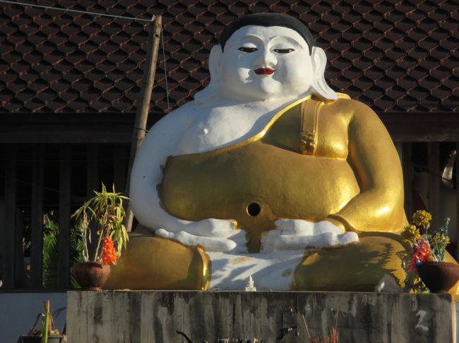 お腹にある穴は何のためにあるのだろう。