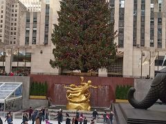 スケートリンクとクリスマスツリー。一度も滑ったことはありませんが、滞在中は毎年誰かが遊びに来ていたので毎年案内していました。今年は寒く無かったです。
