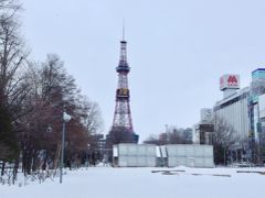 すぐ手前の出口６に戻り、地上に出ると大通公園でした。
ほんとに真上なんですね！