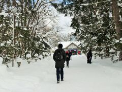 こじんまりした神社でお参り。
地元の人しかいないわ。
おみくじは小吉。
もう大吉には会えないのかもしれない。