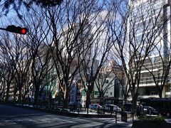 定禅寺通では、街路樹に光のページェントの飾り付けがまだあった。
光のページェントは今日まで。

人多いから行かないけどw