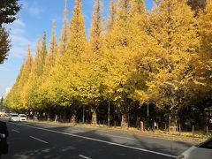 車道の向こうのイチョウも綺麗