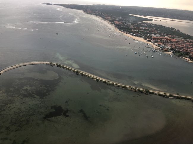 南国の魚がイッパイいるんだろうな～