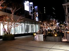 本当は予定に無かったんだけれど、東京の煌めきをタワーの上から眺めていたら、せっかく12月に東京に来たんだもの、、、、どこかでイルミネーションを楽しみたいなぁ。。。という気持ちが湧いてきて、