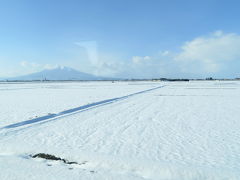 しばらく走っていると、風景が開けてきて、シンボリックな山が見えてきました。
「岩木山だ！」
津軽富士とも呼ばれていて、山容が大変美しいです。