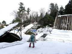 盛美園のメインの庭園はこんな感じで、ほとんど散策できず。

子供は、園や建物そっちのけで雪を踏み踏み。住んでいるところでは、なかなか降らないからたくさん遊んでね。