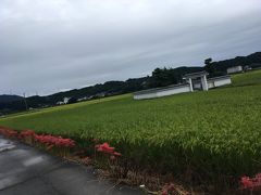 井伊家発祥の地（井伊共保出生の井戸）