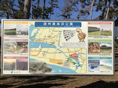 中田島砂丘は向かい側に公園があって、そこに広い駐車場があります。
無料です。