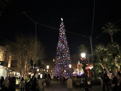 今度はカリフォルニアアドベンチャーパークへ。こちらにも大きなクリスマスツリーが。