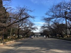 好天の下、恩賜公園を抜けて