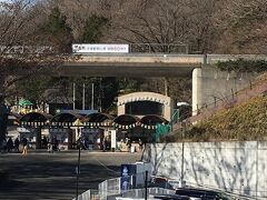 道路の反対側は多摩動物公園です。
近場なのに来たことがないのは、現在の自宅に引っ越してきたとき、子供たちはすでに中学生になっていたからです。