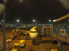 香港国際空港 (チェク ラップ コック空港) (HKG)