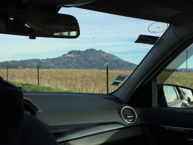 あ、あれがモンサントだって！