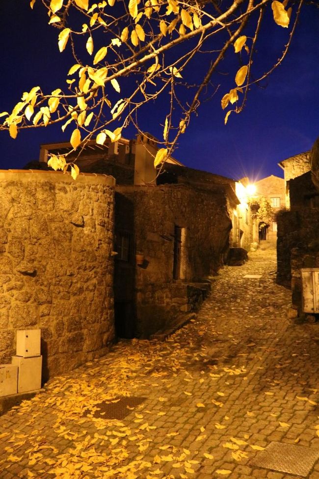 けど<br />上りは、やっぱしんどいな～