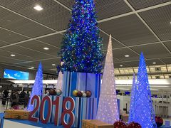 搭乗約3時間前、成田空港に到着しました。
平成最後のクリスマス、青いツリーが出迎えてくれました。

飛行機の値段が最も安く、且つ空きがあったのは、カタール航空。
成田空港22：20発、ドーハ乗換ローマ行です。