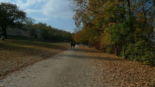 暫くまっすぐ進み