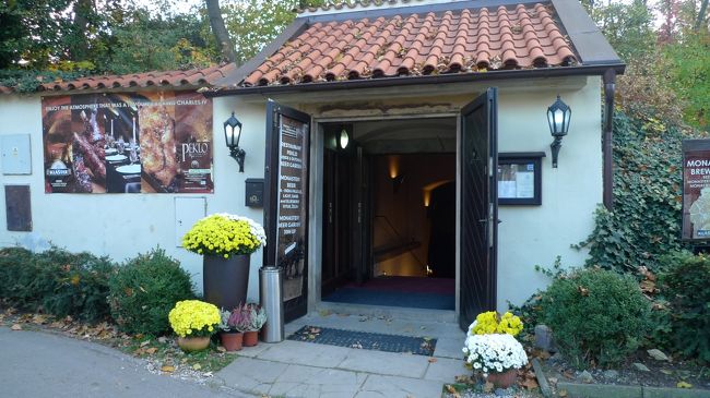 ここも良さそうですが先へ