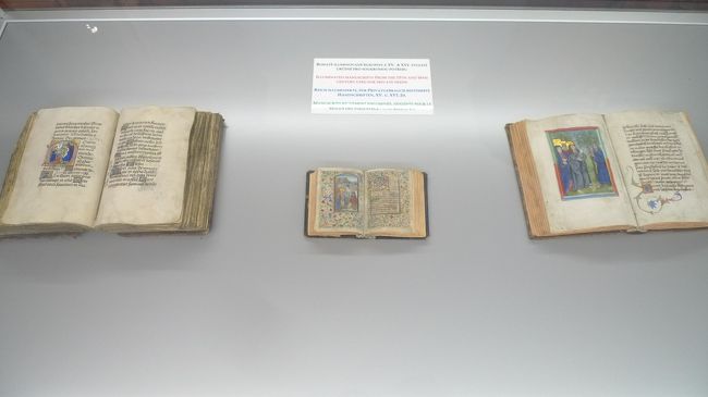 これはミニミニ本