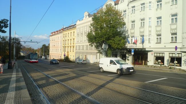 トラム沿いに真っ直ぐ