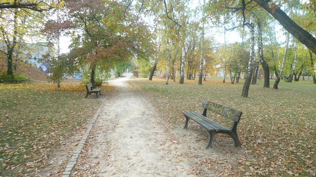 木々の間を抜けて一つ奥の道路に向かいます