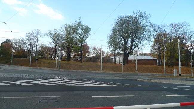 大通りに出ました