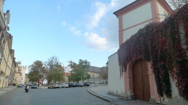 開けた場所まで来ました