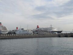 横浜港大さん橋国際客船ターミナルに停泊する飛鳥Ⅱ、にっぽん丸、ピースボートのオーシャンドリーム号、横浜港内のクルーズ船ロイヤルイングです。