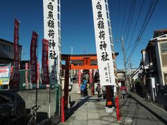 六番　鷹取　白魚稲荷神社　【 無病息災 】
武蔵国風土記に ” 漁士白魚を初めて得しときは、まず此の社に供ふる。故にかく云へり ” と社名の起源が書かれている。多摩川の砂利砂採取が行われるようになった頃、この事業に従事する人たちの信仰を受け、社頭は大いに盛んであったそうです。（パンフレットより）
