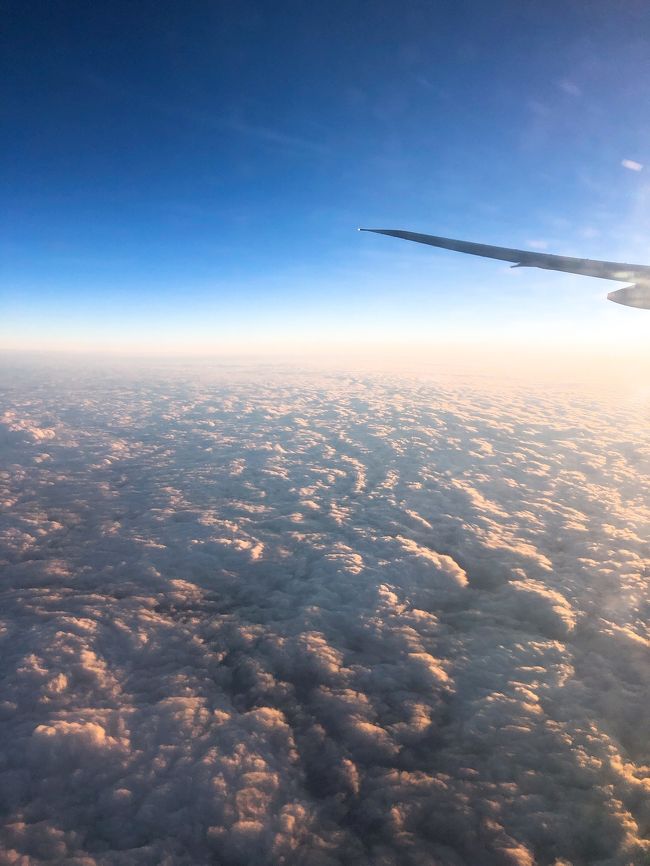 いいお天気～ヾ(*´∀｀*)ﾉ