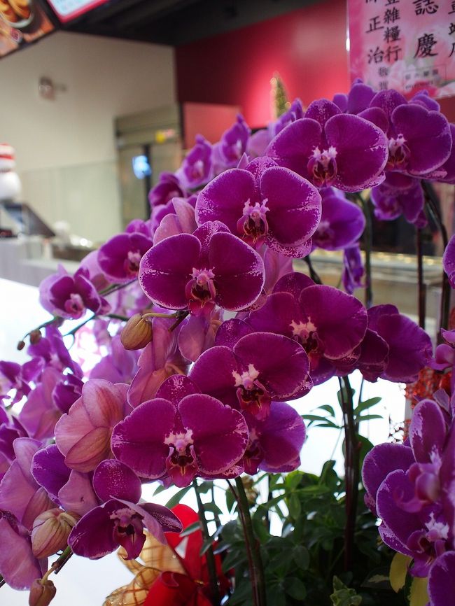 屏東駅内は最近新しくなったのかな？<br />綺麗なお店が多かったです。