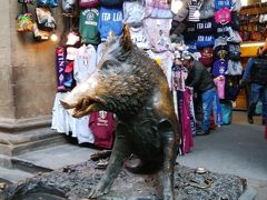 フィレンツェのシンボル「幸運の子豚」と呼ばれるイノシシ像。
亥年の今年に出会えるとは幸先良いかも。