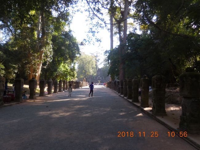 ホテルから45分ほどでアンコールトムの北側にあるプリアカンに到着。<br />今日の最初の目的地です。