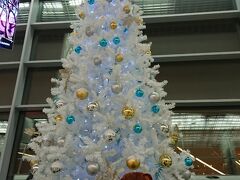 空港内のクリスマスツリー
外は雪景色でした
大きな免税店ではユーロが使えました
きっちり支払ったのでおつりはどの通貨でくるかはわかりません