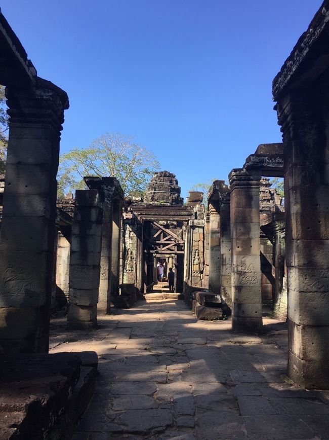 踊り子のテラス。