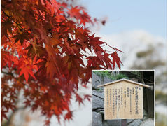 ちょっと拍子抜けの感じがした和歌山城でしたが、城郭内には素晴らしい庭園がありました！

その名も「西の丸庭園(紅葉溪庭園)」。