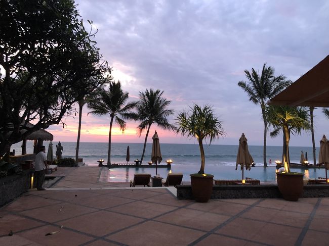 いかにも南国～