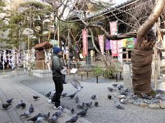 「六角堂」

沢山鳩がいます。餌付けされていて、肩にも沢山乗っていました。
