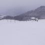 冬の恒例 娘と田沢湖・安比高原