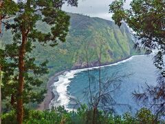 ワイピオ渓谷展望台からの眺め。
王族ゆかりの地でく、昔大津波があった時もここだけは無事だったんだとか。
それも王族の力によって守られているからと伝えられているらしい。
ワイピオとは、ハワイ語で「曲がりくねる水」という意味。その名の通り水が豊かなこの地には、落差390mのヒイラヴェ滝や映画にも使われたカルアヒネ滝など幾つかの滝が流れています。ただ、これらの滝は展望台からは見られないのが、ちょっと残念。断崖絶壁で囲まれたワイピオ渓谷。一見、人の気配を感じない谷底ですが、現在50人程のタロイモ農家や漁師さんが暮らしているそうです。
２度の大津波に襲われたものの一人の死者もでなかったそうで、それは「王族達のマナ（霊力）によって谷が守られているからだ」と伝えられているそうです。
ハワイアンの聖地で、カメハメハ大王が幼少期を過ごしたことでも有名なスポットです。
今回は展望台からの見学のみ、下にはおりませんでした。