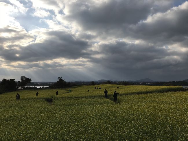 記念写真にオススメでした