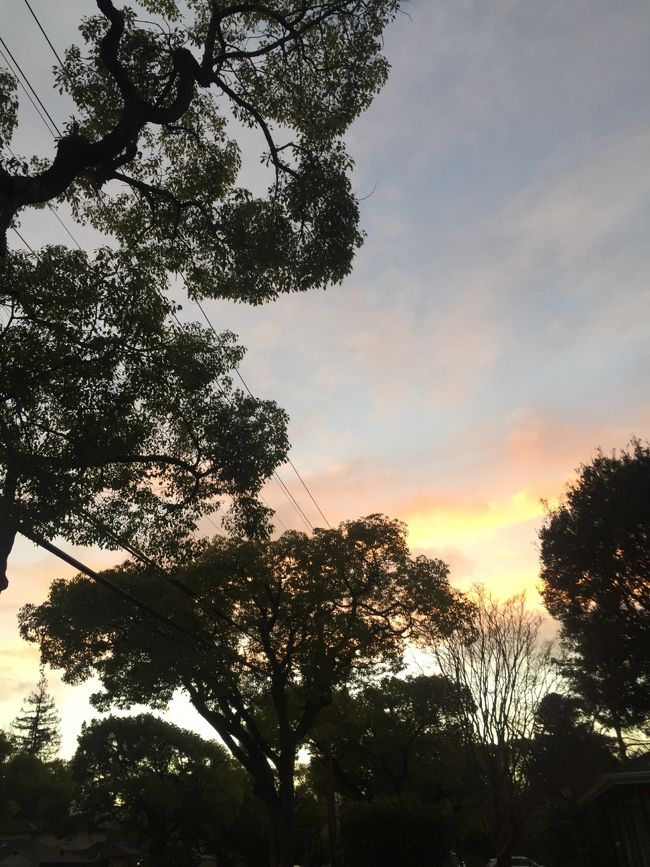 うちからみた夕焼け