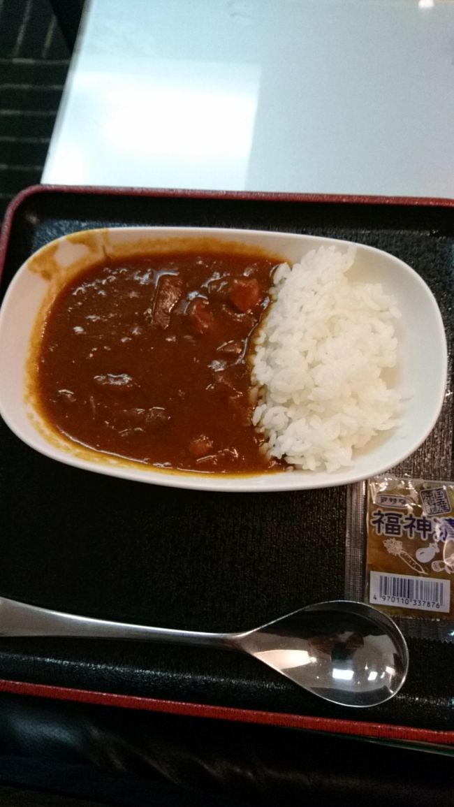 しかーし、カレーの誘惑に負けました(笑)