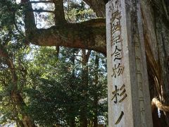 12：55

最初に立ち寄ったのは、高知県大豊町にある八坂神社。

まっぷるに載っていた「杉の大杉」を見に行ってみた。


推定樹齢３０００年！(◎_◎;)

大杉さんにパワーをもらって初詣。


