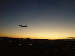 上空では水平線に雲がかかっていて、きれいな初日の出は見られませんでした。成田空港に到着すると、もうすぐ地上の初日の出です。この飛行機が2019年元日の一番乗り（少なくとも第2ターミナルでは）だったみたいで、なんかうれしい。