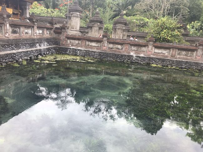 山水がボコボコと絶え間なく湧き出てます