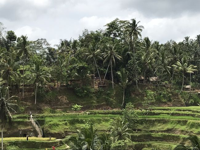 向こう側では大きなブランコに乗ってる人が