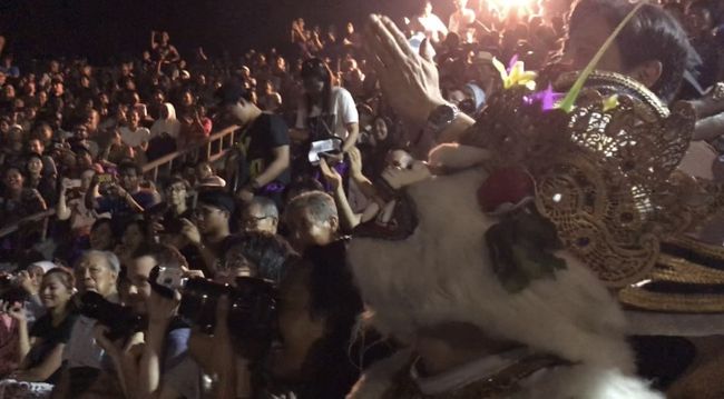 猿はオドオドするお客さんを見て喜んでます